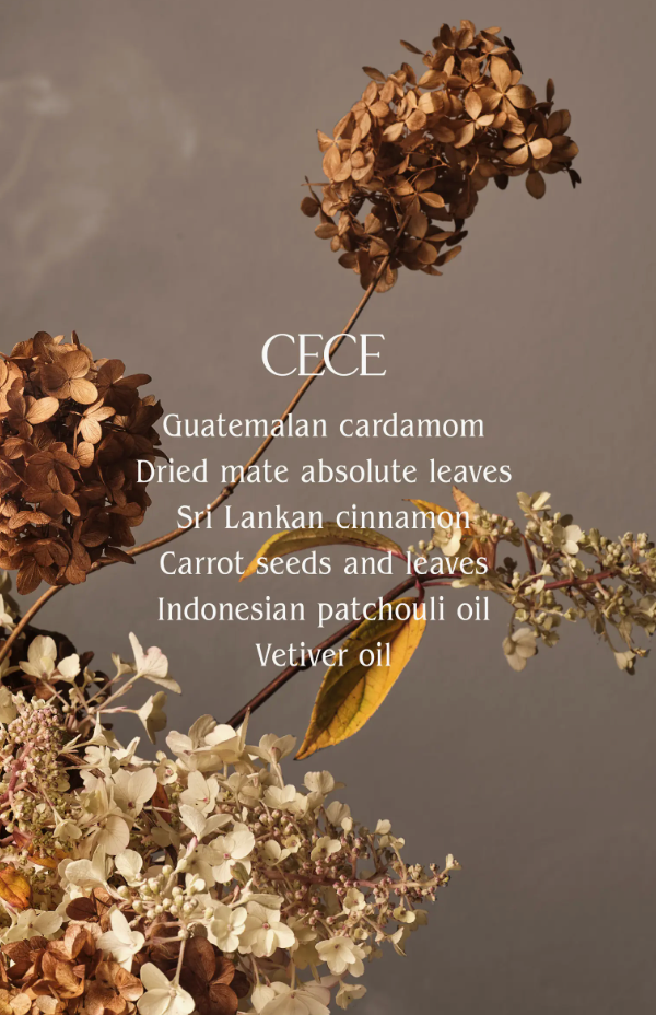 Body Butter Cece