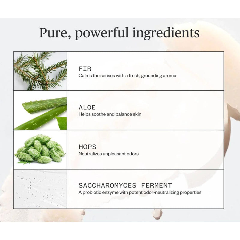 Forest Fix Stick Deodorant