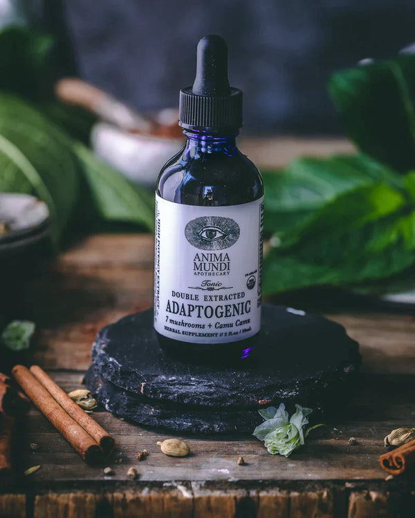 Adaptogenic Tonic: 7 Mushroom Immune Protection Vibrant Market | Clean Beauty + Wellness Shop in New Orleans