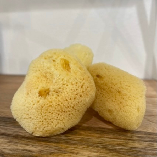 Body Sponge Vibrant Market | Clean Beauty + Wellness Shop in New Orleans