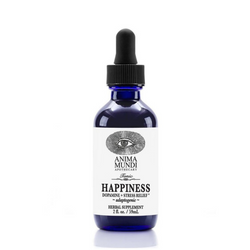 Happiness Tonic Vibrant Market | Clean Beauty + Wellness Shop in New Orleans